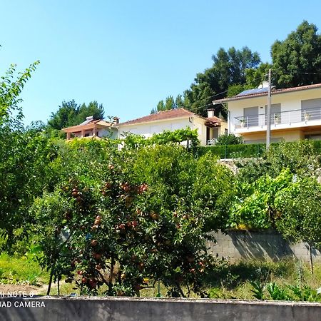 Bellavista Alojamento Арока Екстер'єр фото